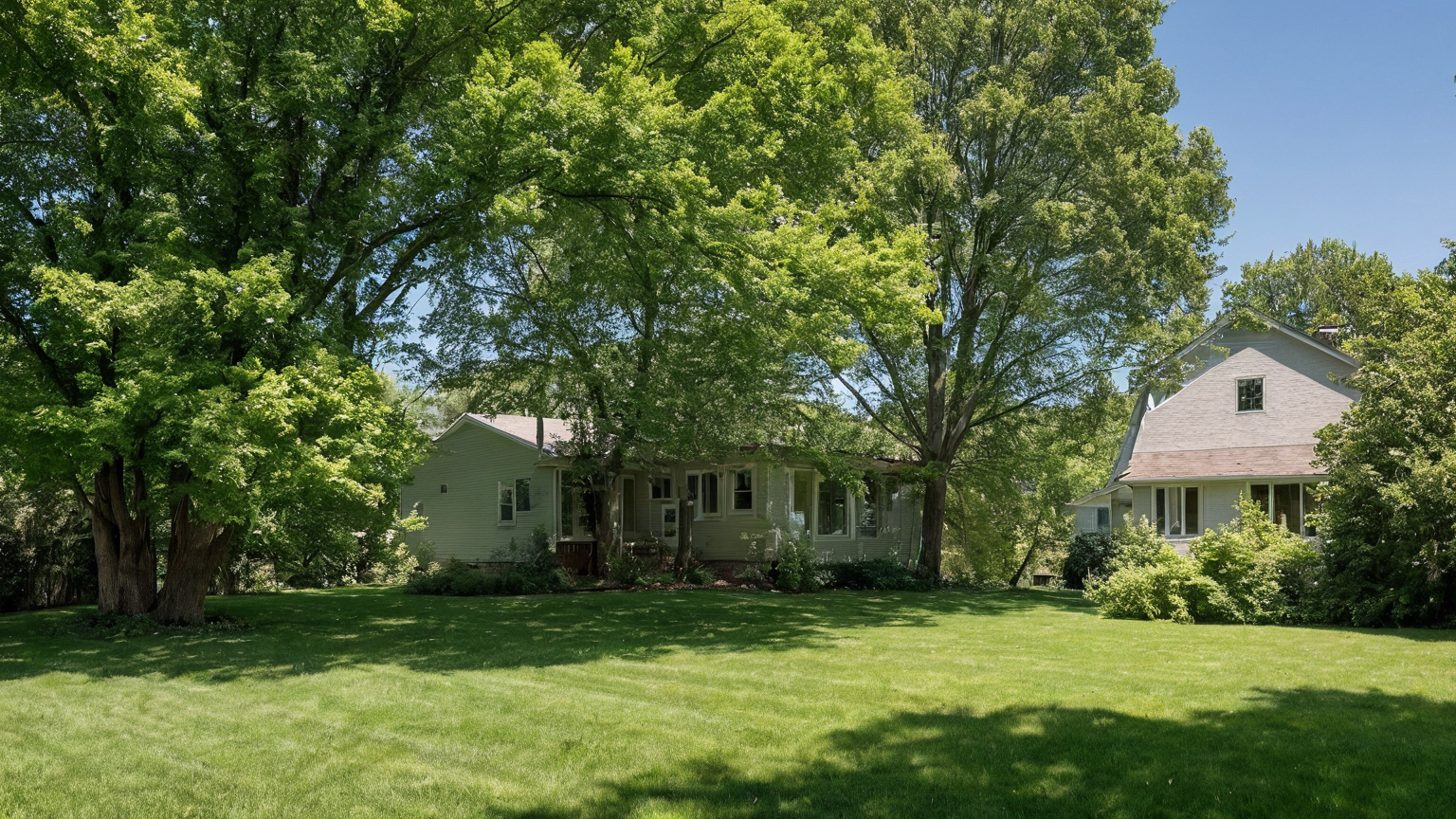 Properly spaced multi-stem tree with a broad, level mulch ring